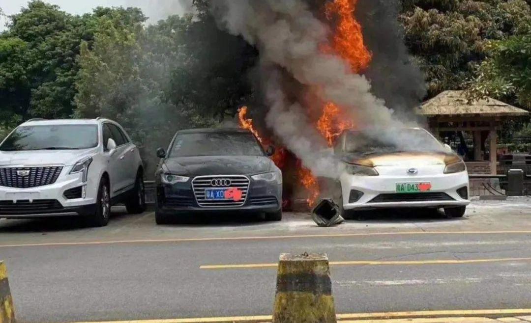 比亚迪,帕萨特,大众