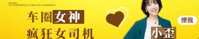 福睿斯,桑塔纳,凌派,英朗,别克