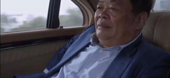 名爵,奥迪,长安,东风,名爵ZS
