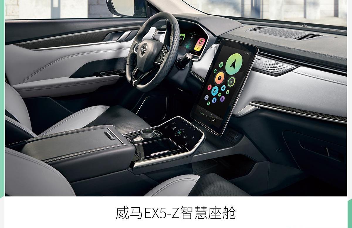威马EX5,北京,理念,特斯拉