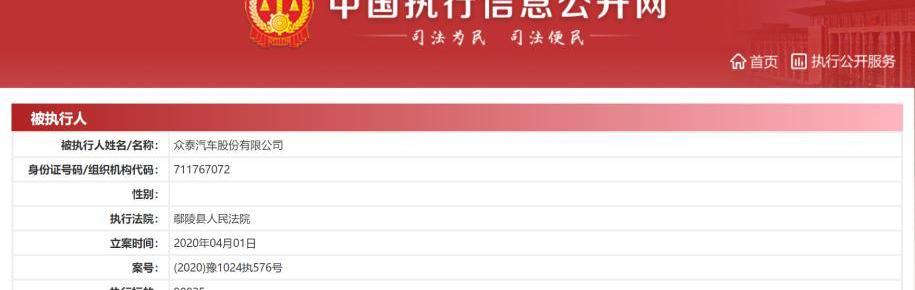 众泰,发现