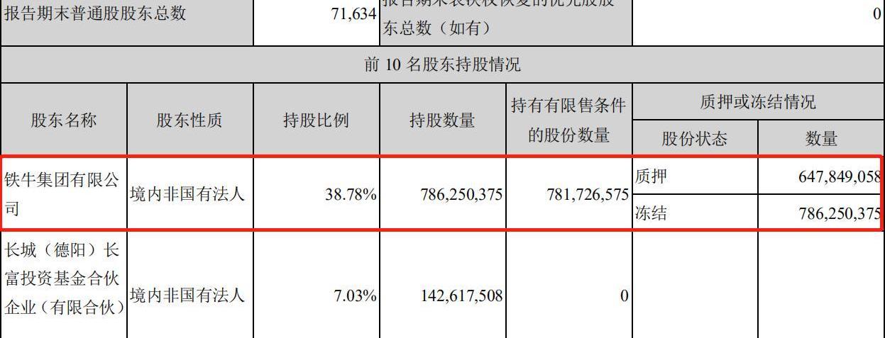 众泰,发现
