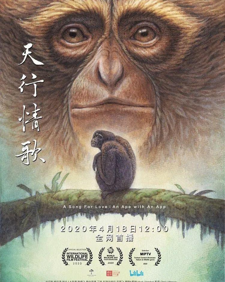 现代,蔚来,爱驰,理念,大众