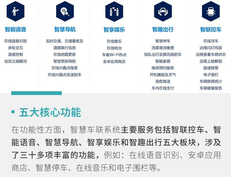 大众,帕萨特,斑马