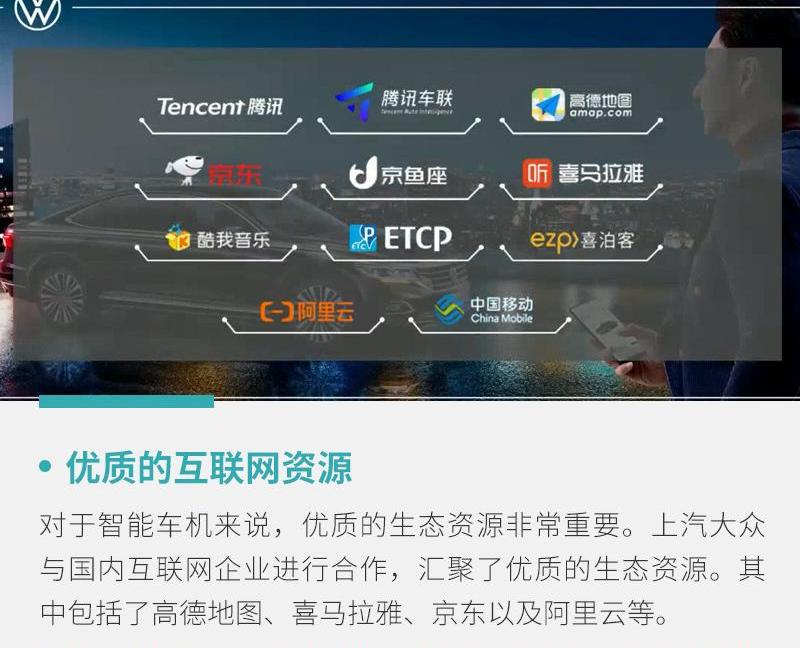 大众,帕萨特,斑马