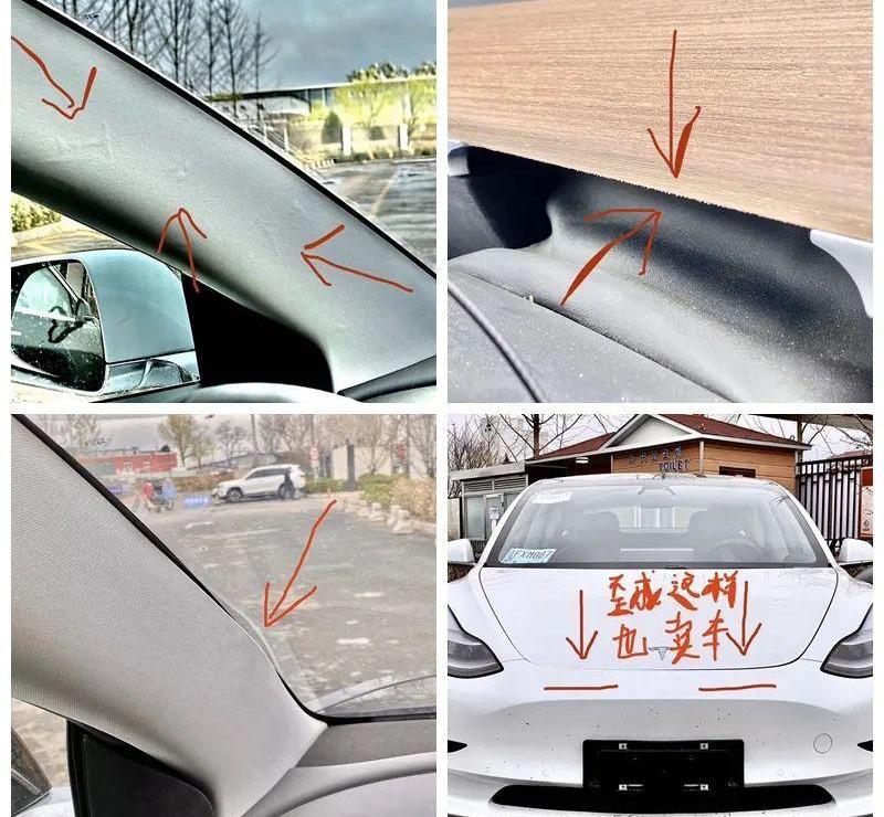 特斯拉,Model 3,蔚来,小鹏,Polestar 2