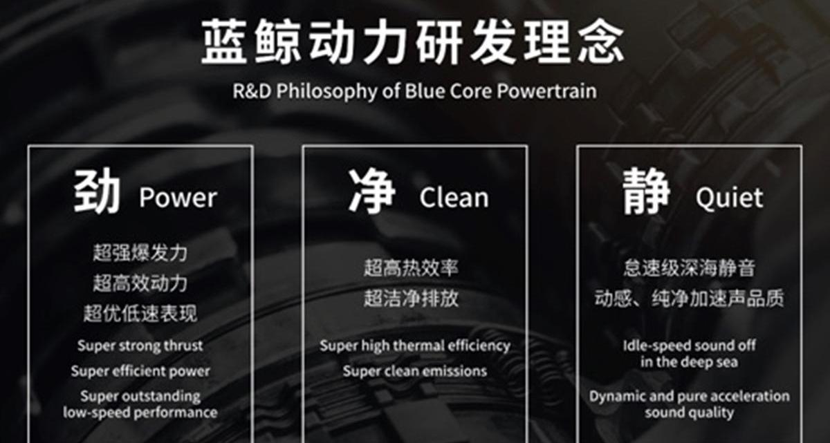 鲸,长安,逸动