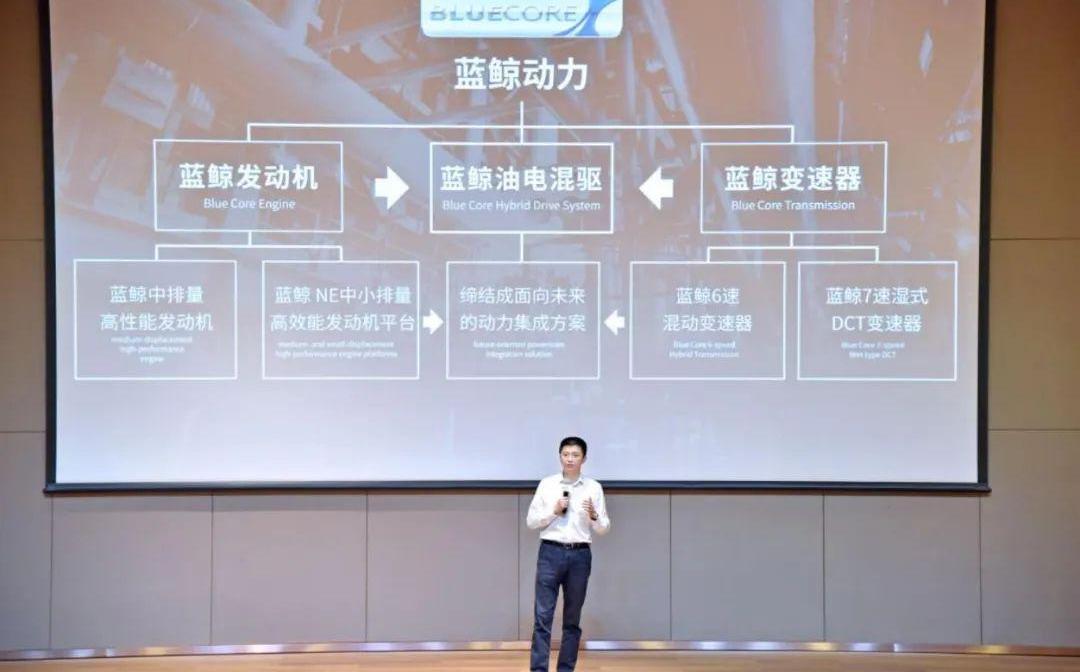 鲸,长安,逸动