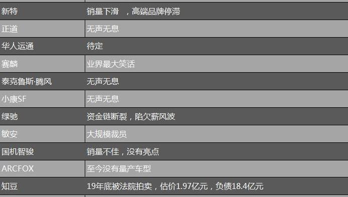 特斯拉,蔚来,小鹏,爱驰,奥迪