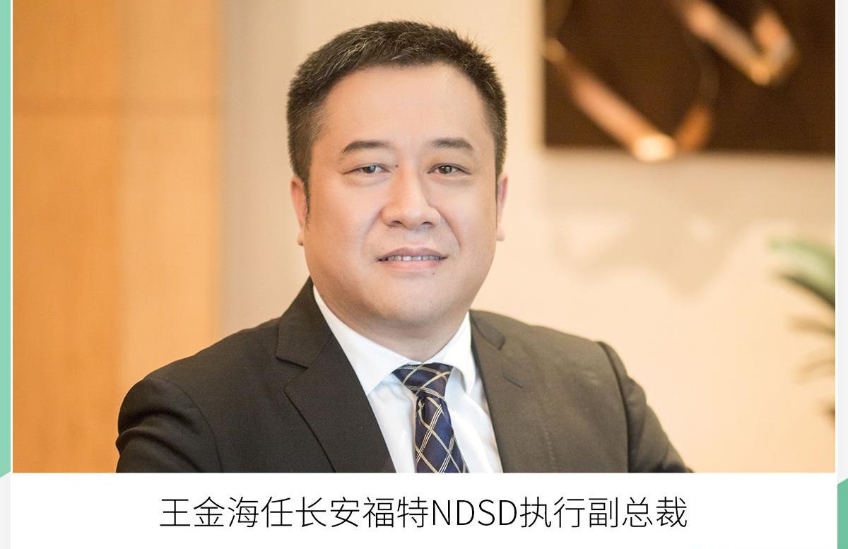 长安,福特,马自达,DS,江铃