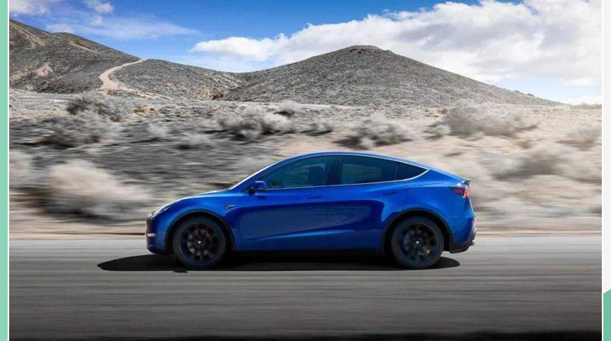 特斯拉,Model Y,Model 3