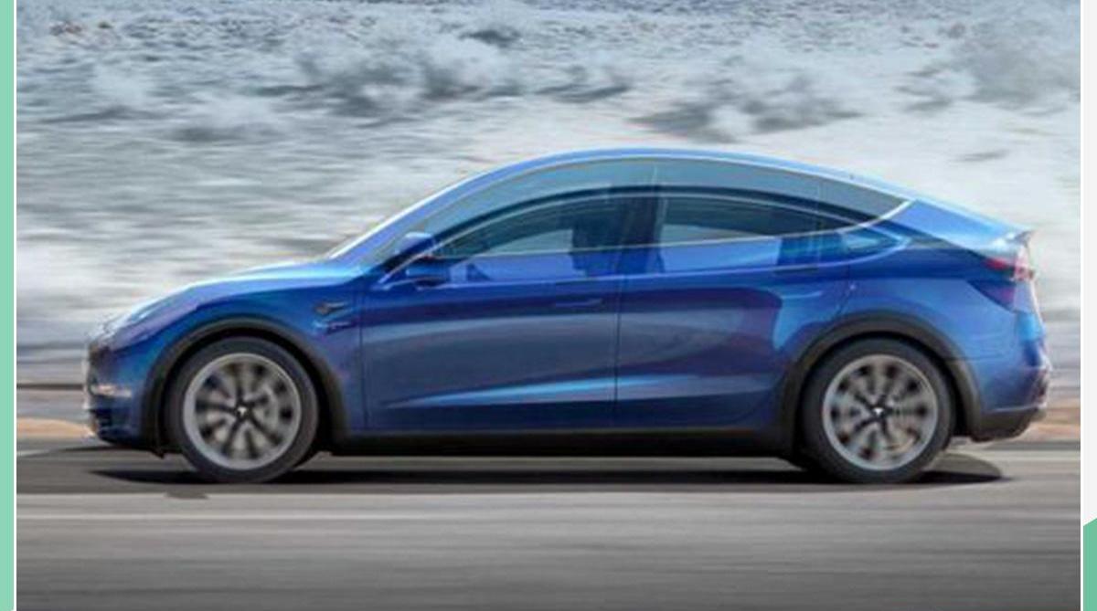 Model Y,Model 3