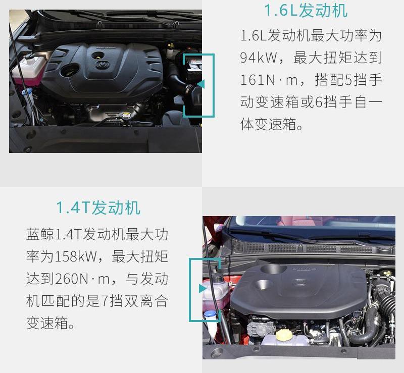 逸动,长安,鲸