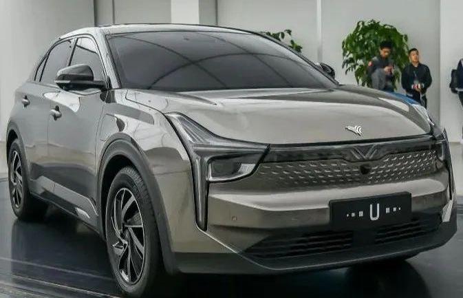 哪吒U,特斯拉,前途