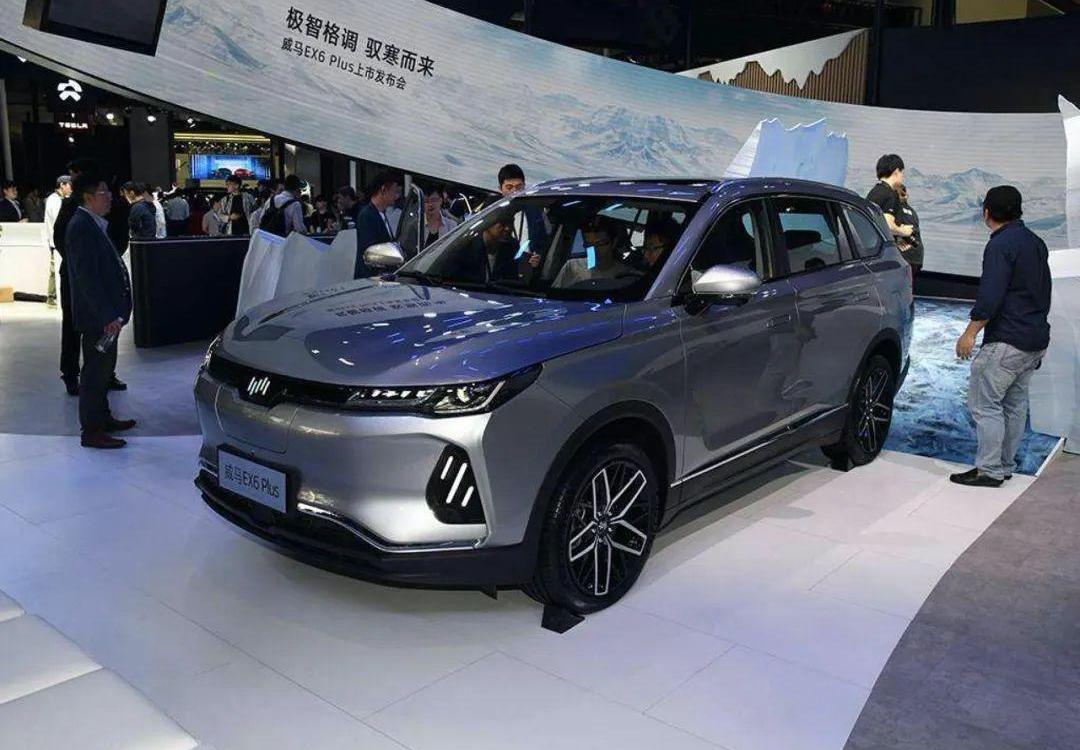 哪吒U,特斯拉,前途