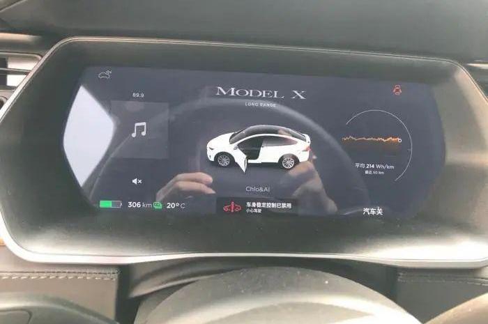 特斯拉,世纪,Model X,发现