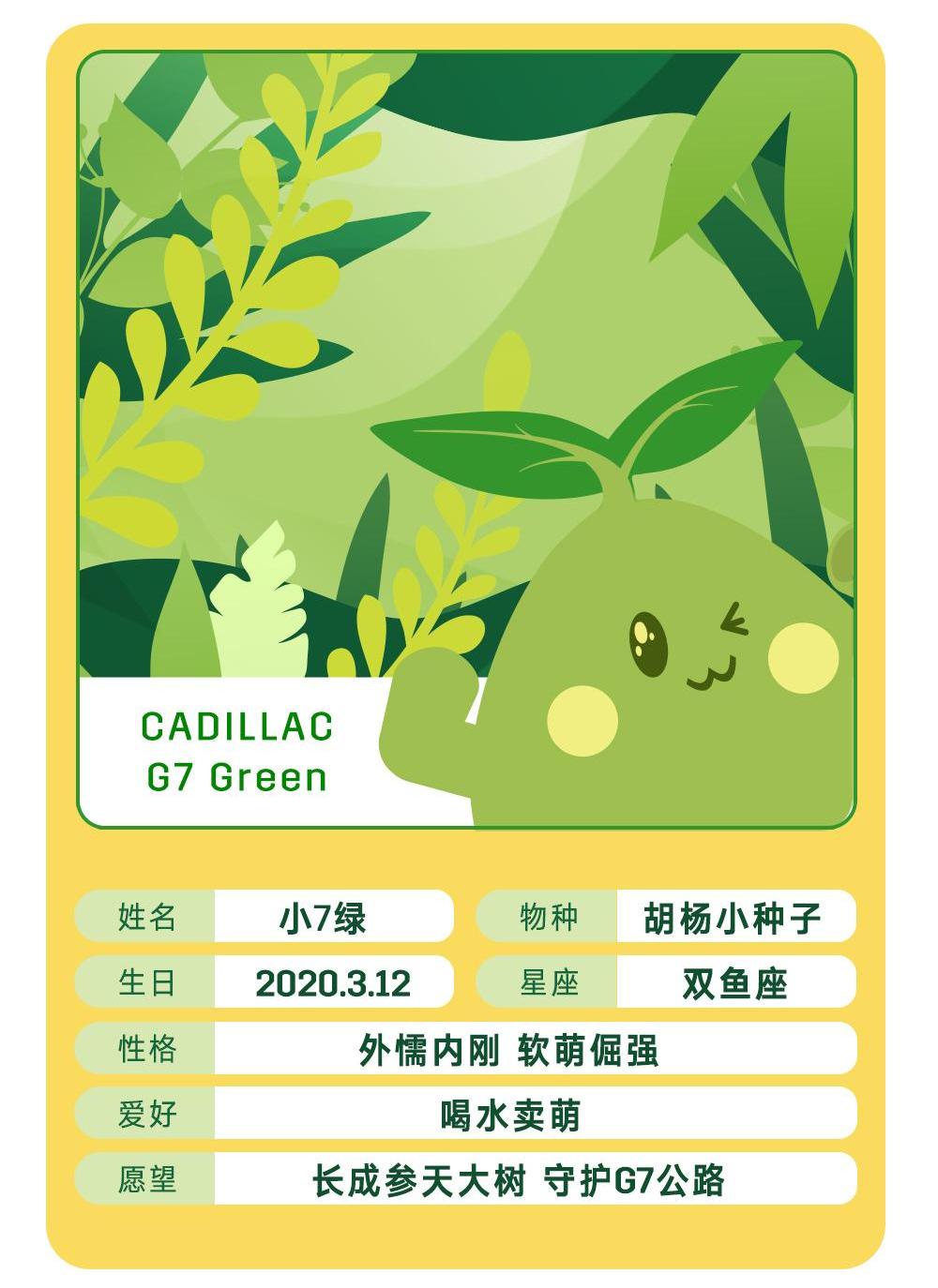 凯迪拉克,御风