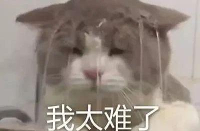 奇瑞,本田,比亚迪,丰田,东风