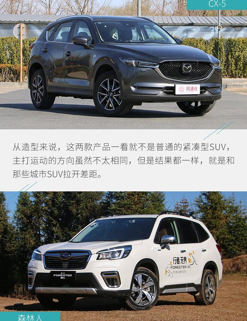 森林人,马自达,马自达CX-5,斯巴鲁