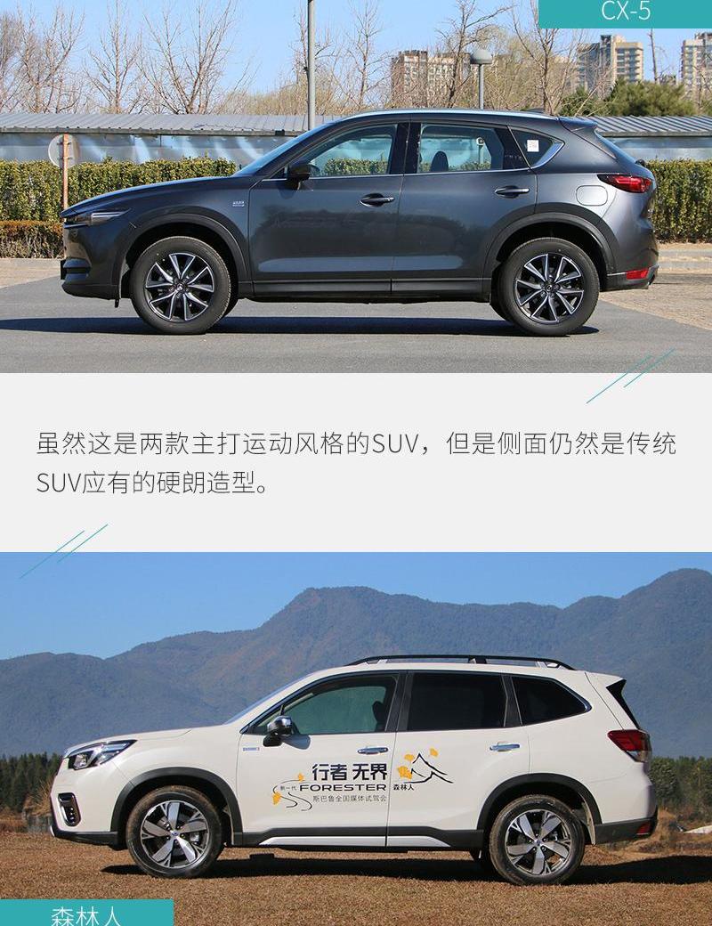 森林人,马自达,马自达CX-5,斯巴鲁