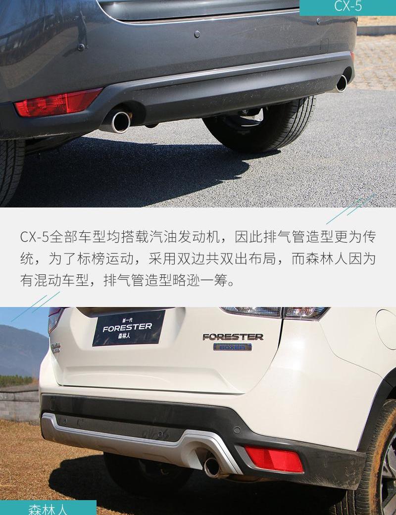 森林人,马自达,马自达CX-5,斯巴鲁