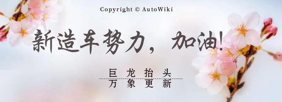 大众,蔚来,爱驰,大发,丰田