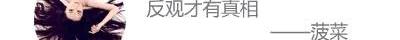 特斯拉,比亚迪
