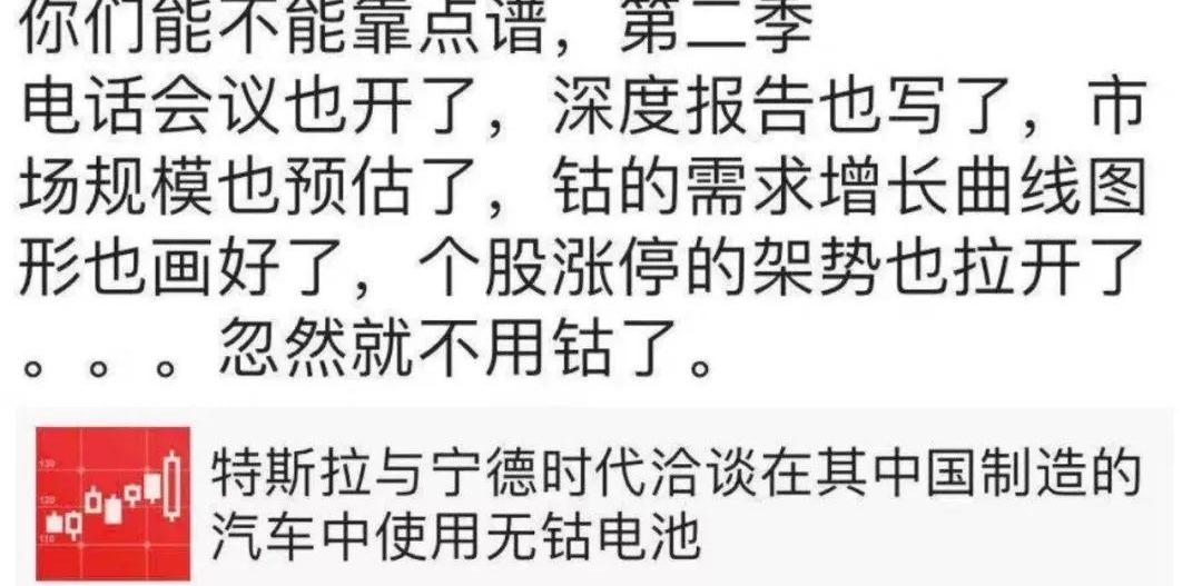特斯拉,比亚迪