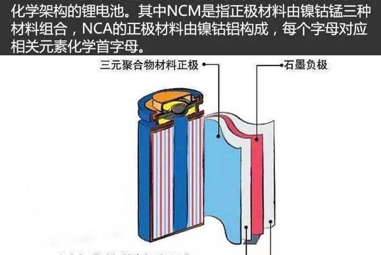 特斯拉,比亚迪