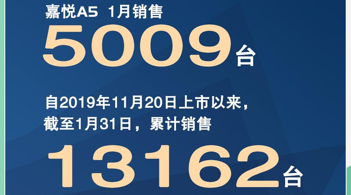 江淮,远程