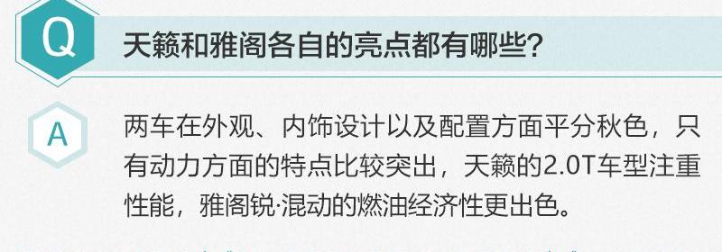 雅阁,天籁,思域
