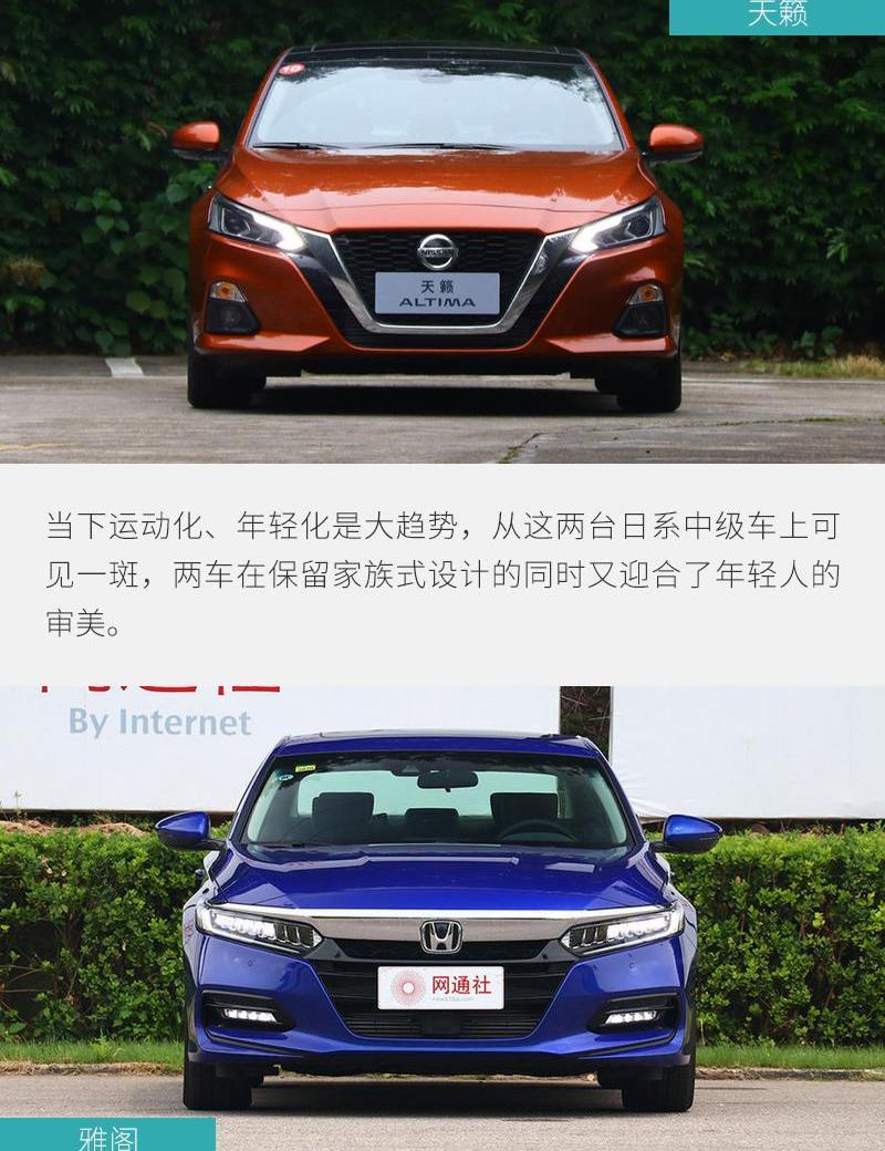 雅阁,天籁,思域