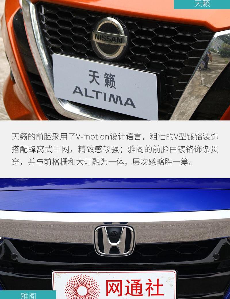 雅阁,天籁,思域