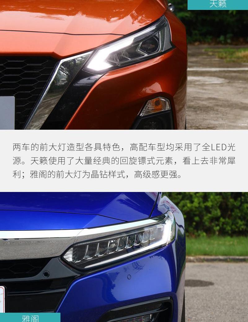雅阁,天籁,思域