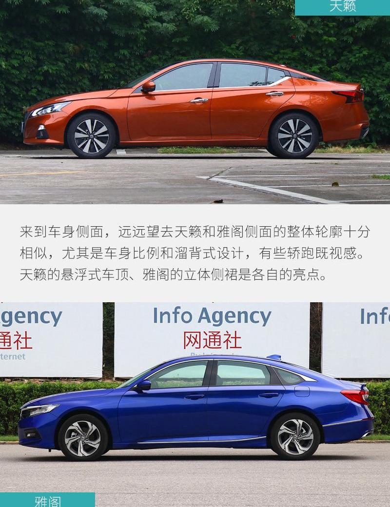 雅阁,天籁,思域