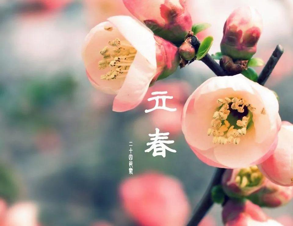 东风,长安,起亚,汉,沃尔沃