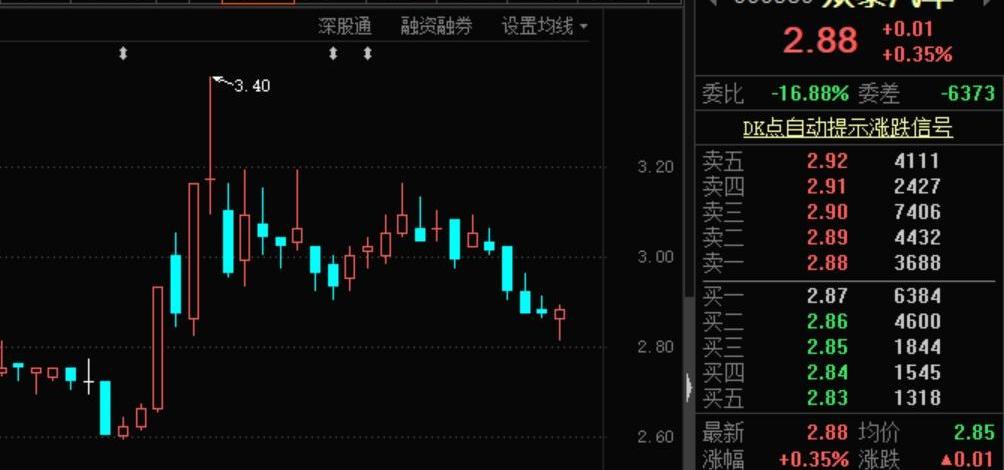 众泰,海马,特斯拉,比亚迪,大众