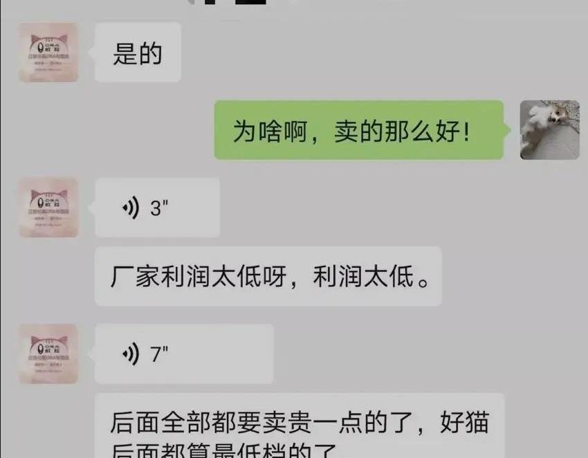 欧拉,腾势,奔驰,比亚迪,欧拉黑猫