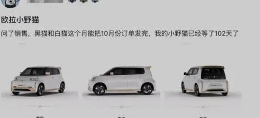 欧拉,腾势,奔驰,比亚迪,欧拉黑猫