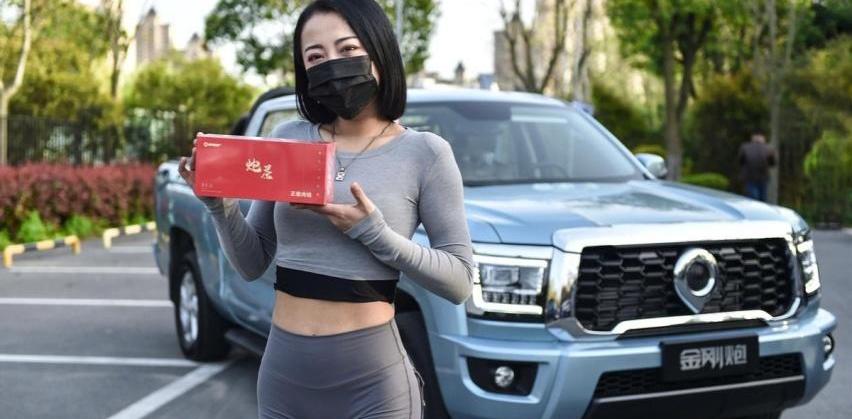 炮,金刚炮,长城,理念