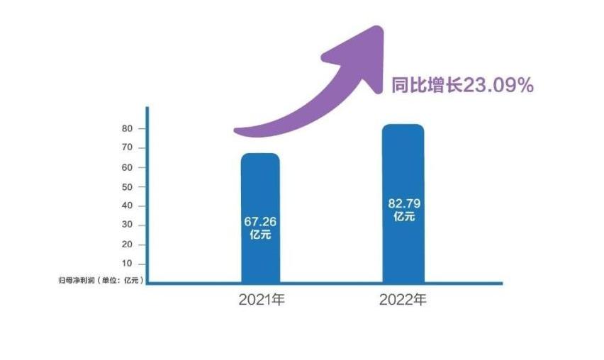 长城,哈弗,哈弗H6,魏牌,坦克