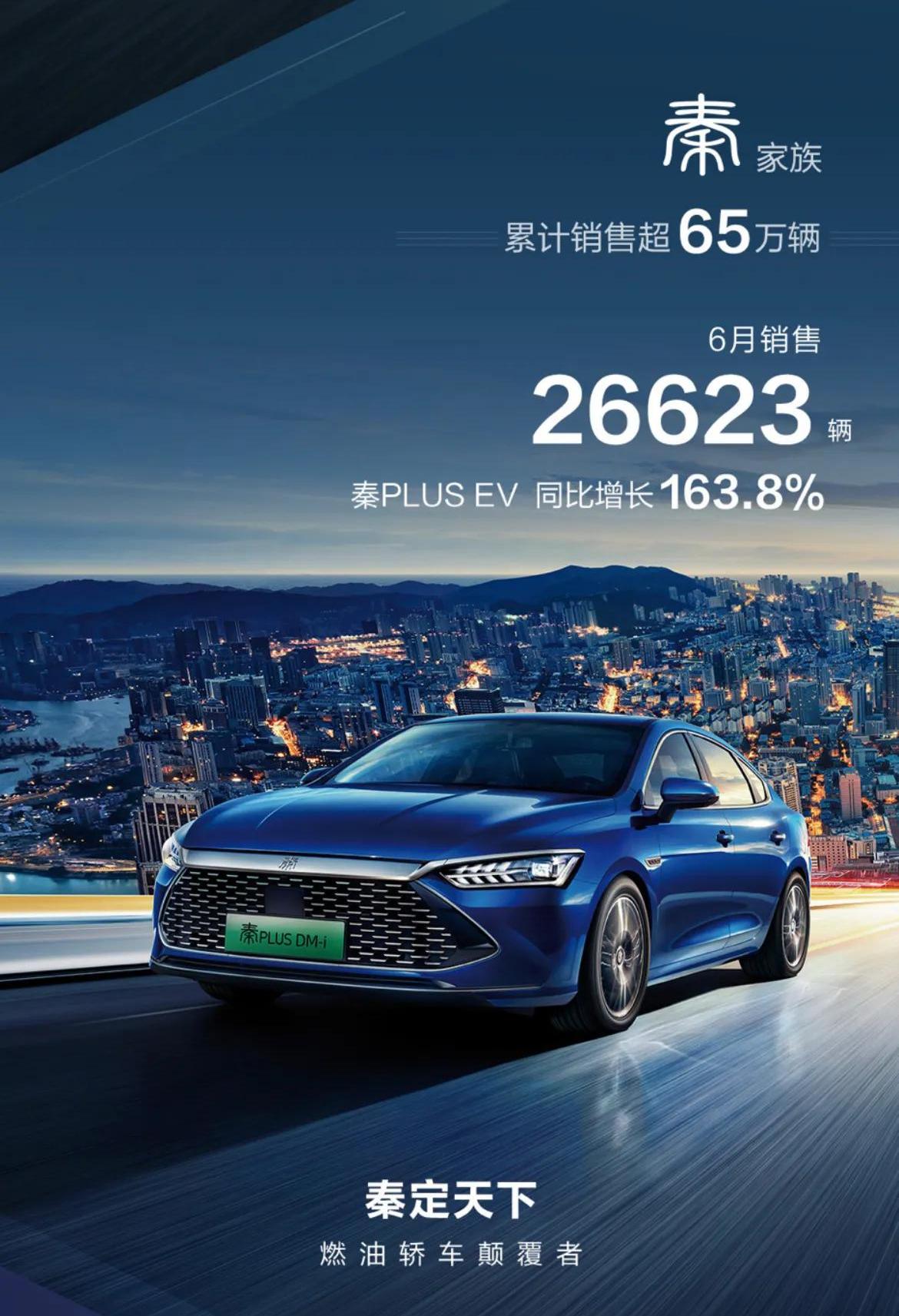 比亚迪,长安,长城,奇瑞,欧拉