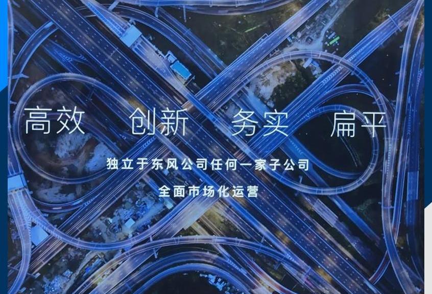特斯拉,蔚来,东风,智己汽车,岚图汽车