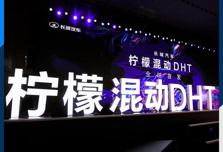 远程,宝马,丰田,长城,特斯拉