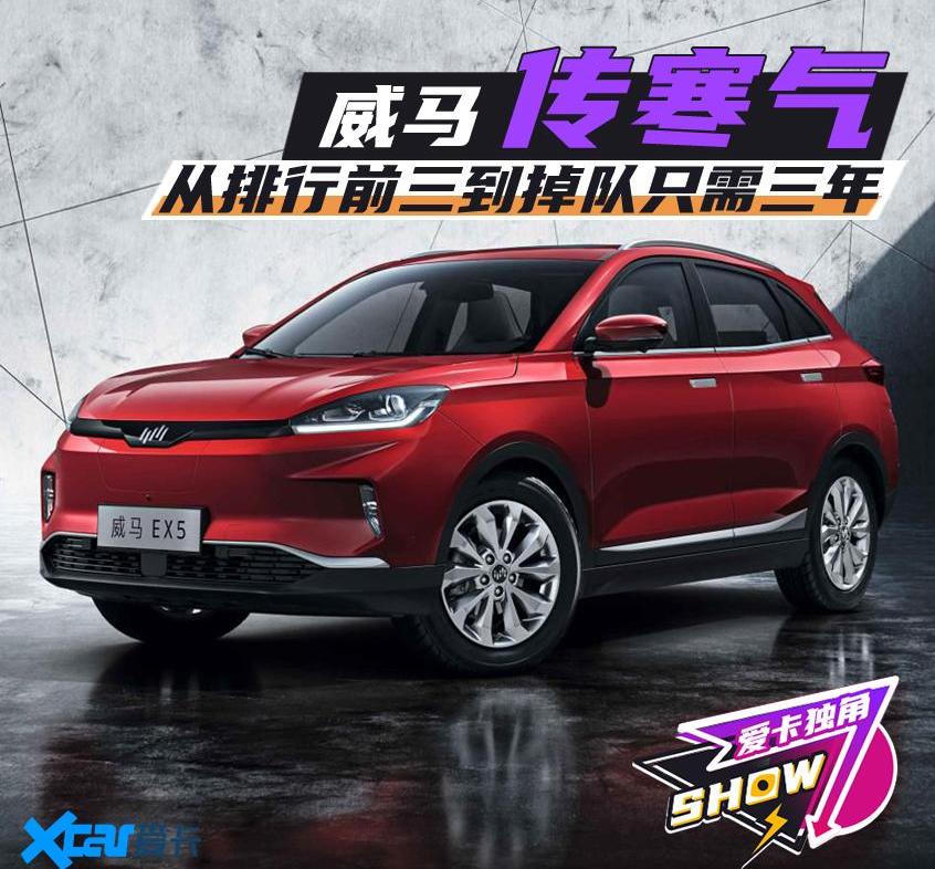 威马汽车,小鹏,蔚来,大众,金杯