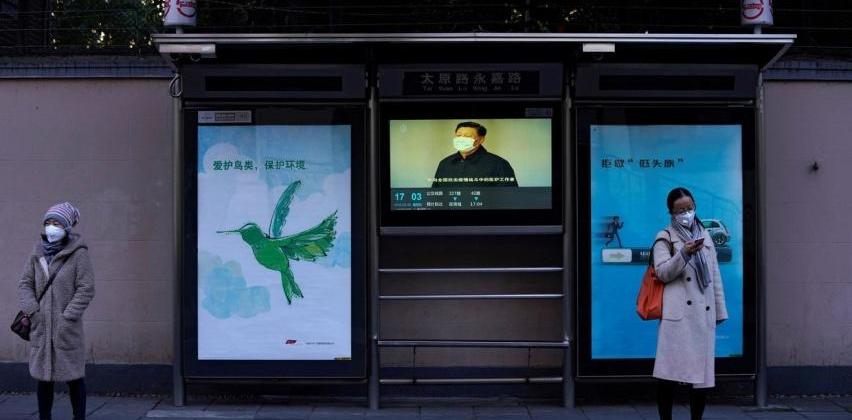 比亚迪,特斯拉