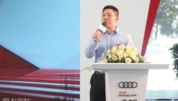 奥迪,元宝
