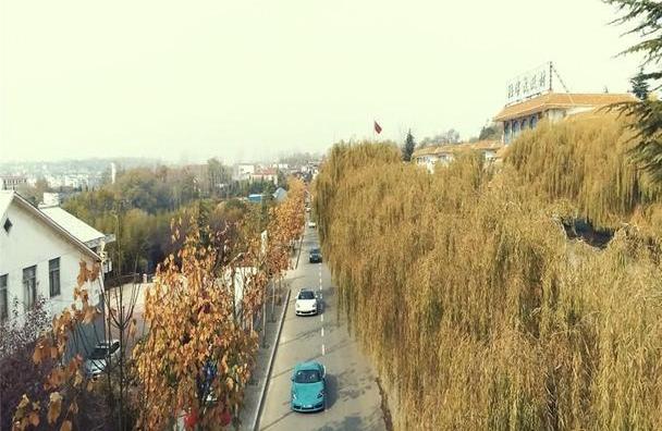 保时捷,卡路里