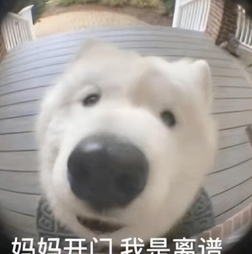宝马,奔驰,特斯拉,蔚来,小鹏