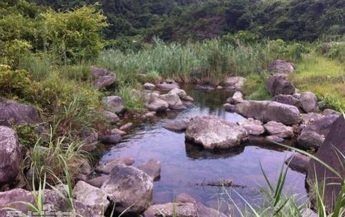 Jeep,牧马人,大众,勇士,福特